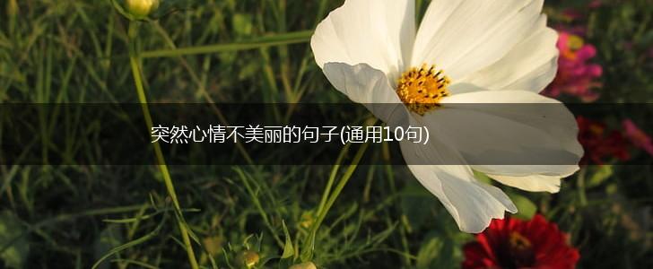 突然心情不美丽的句子(通用10句),第1张