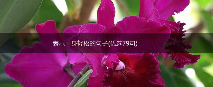 表示一身轻松的句子(优选79句),第1张