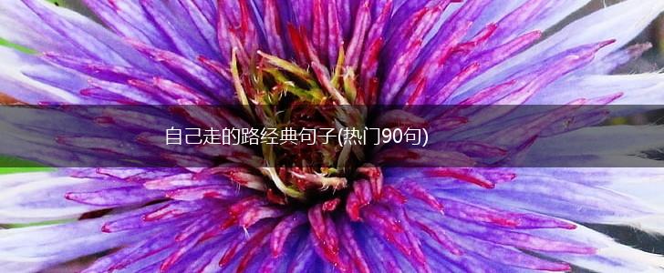 自己走的路经典句子(热门90句),第1张