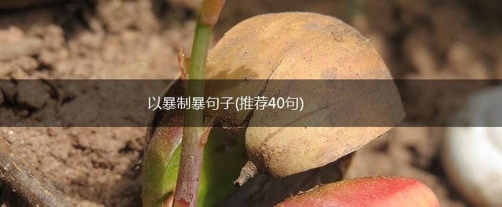 以暴制暴句子(推荐40句),第1张
