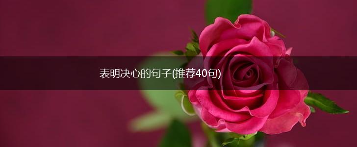 表明决心的句子(推荐40句),第1张