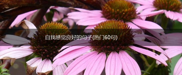 自我感觉良好的句子(热门60句),第1张