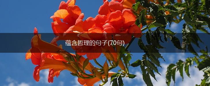 蕴含哲理的句子(70句),第1张