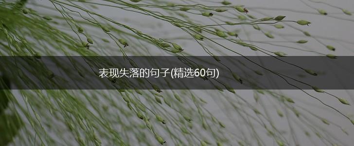 表现失落的句子(精选60句),第1张