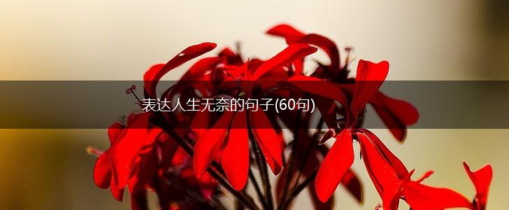 表达人生无奈的句子(60句),第1张