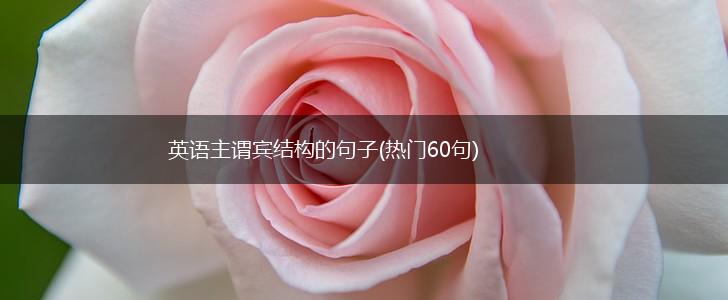 英语主谓宾结构的句子(热门60句),第1张