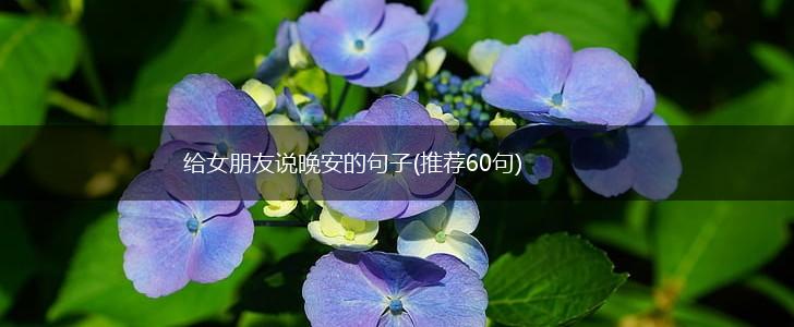 给女朋友说晚安的句子(推荐60句),第1张