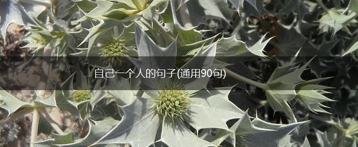 自己一个人的句子(通用90句),第1张