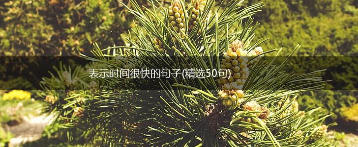 表示时间很快的句子(精选50句),第1张