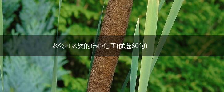 老公打老婆的伤心句子(优选60句),第1张