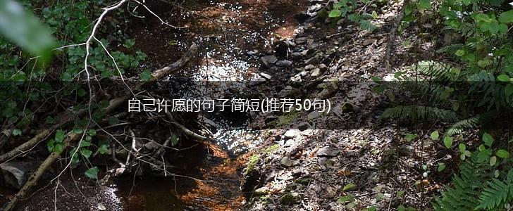 自己许愿的句子简短(推荐50句),第1张