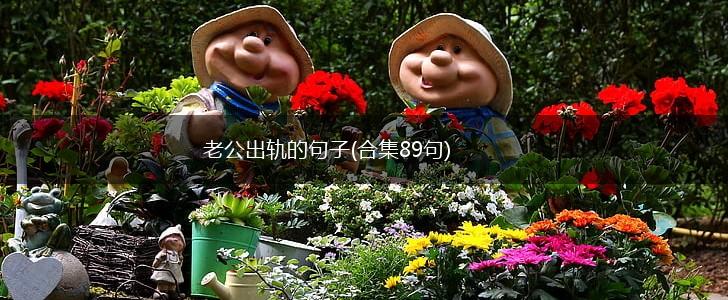 老公出轨的句子(合集89句),第1张