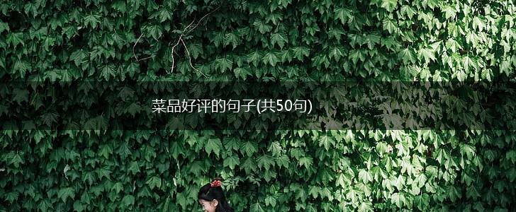 菜品好评的句子(共50句),第1张
