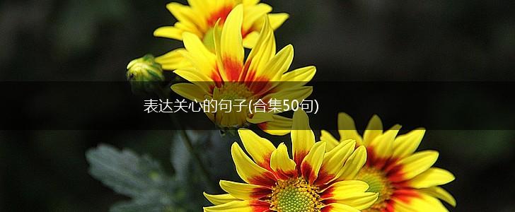 表达关心的句子(合集50句),第1张
