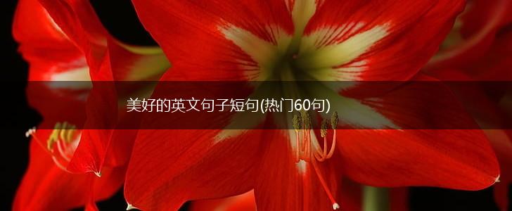 美好的英文句子短句(热门60句),第1张