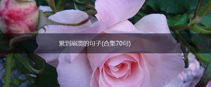 累到崩溃的句子(合集70句),第1张