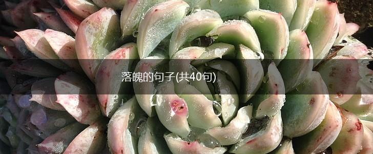 落魄的句子(共40句),第1张
