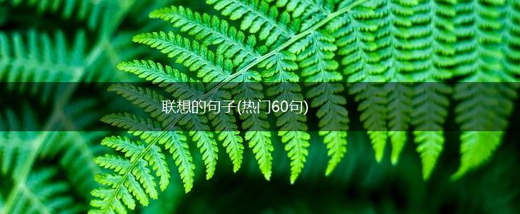 联想的句子(热门60句),第1张