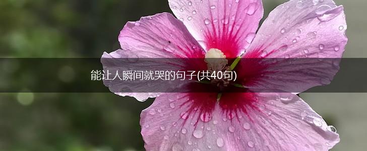 能让人瞬间就哭的句子(共40句),第1张