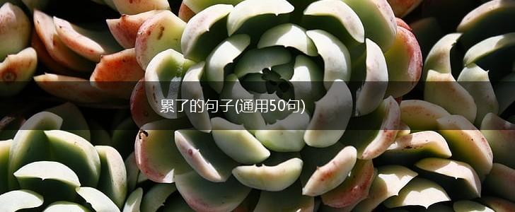 累了的句子(通用50句),第1张