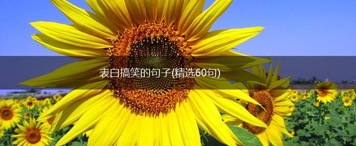 表白搞笑的句子(精选60句),第1张