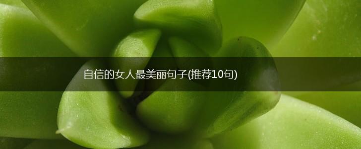 自信的女人最美丽句子(推荐10句),第1张