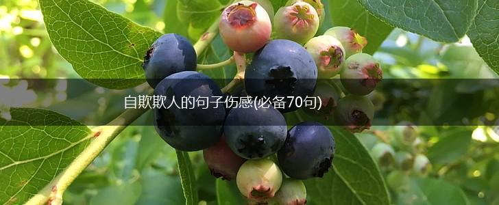 自欺欺人的句子伤感(必备70句),第1张