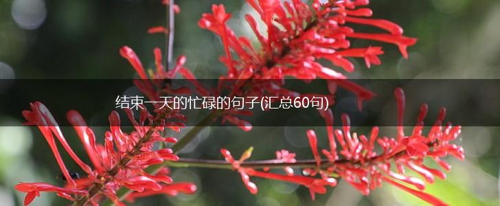 结束一天的忙碌的句子(汇总60句),第1张