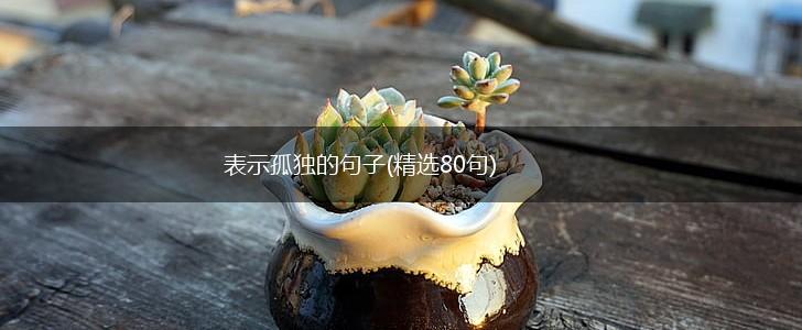 表示孤独的句子(精选80句),第1张