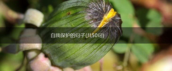 自我保护的句子(共50句),第1张