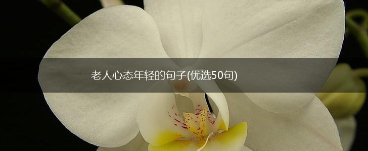 老人心态年轻的句子(优选50句),第1张