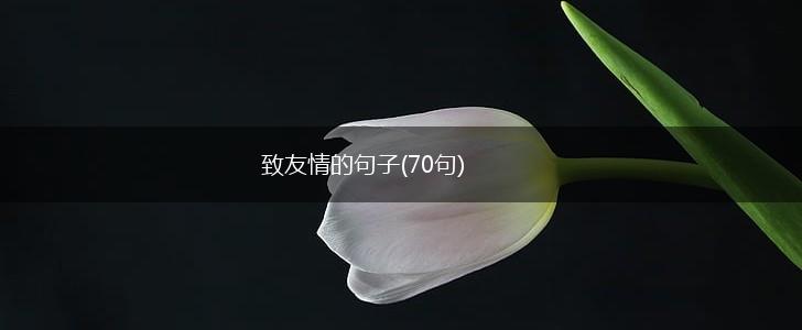 致友情的句子(70句),第1张