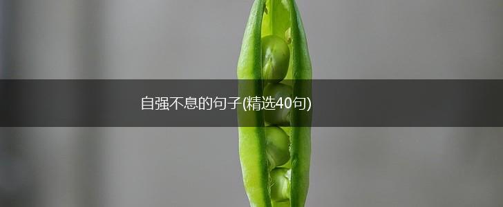 自强不息的句子(精选40句),第1张