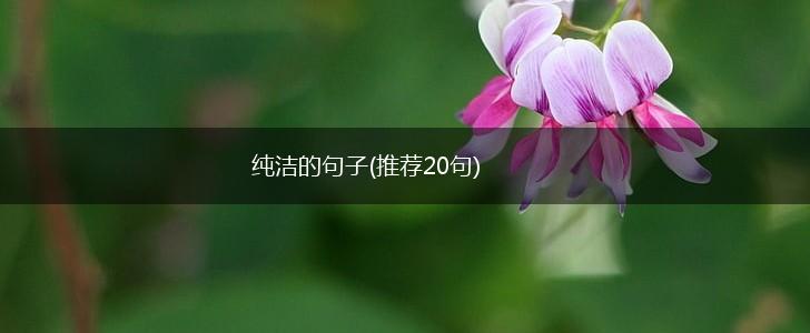 纯洁的句子(推荐20句),第1张