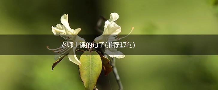 老师上课的句子(推荐17句),第1张