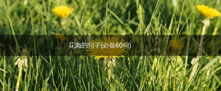 花海的句子(必备60句),第1张