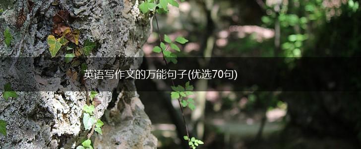 英语写作文的万能句子(优选70句),第1张