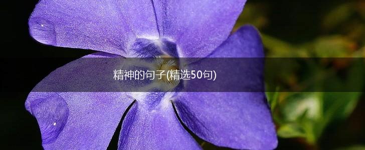 精神的句子(精选50句),第1张