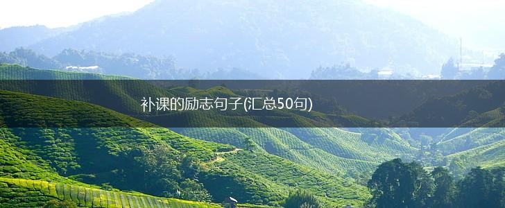 补课的励志句子(汇总50句),第1张
