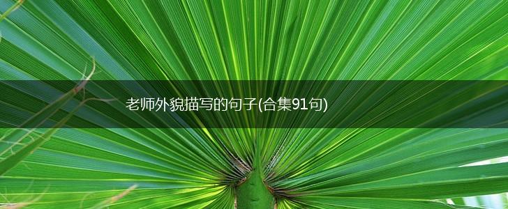 老师外貌描写的句子(合集91句),第1张