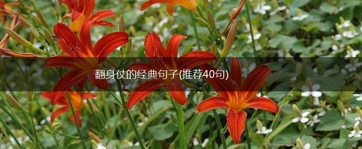 翻身仗的经典句子(推荐40句),第1张