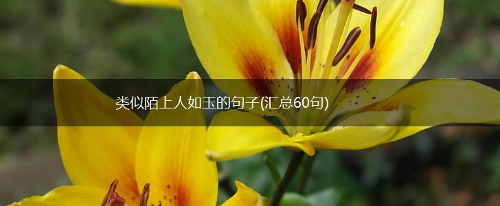 类似陌上人如玉的句子(汇总60句),第1张