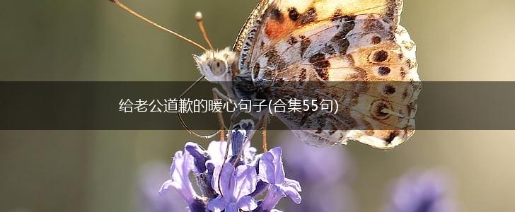 给老公道歉的暖心句子(合集55句),第1张