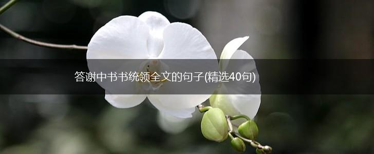 答谢中书书统领全文的句子(精选40句),第1张