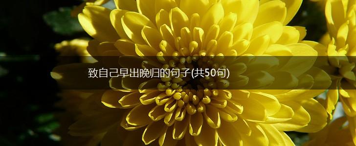 致自己早出晚归的句子(共50句),第1张