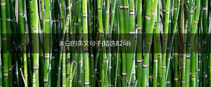 表白的英文句子(精选82句),第1张