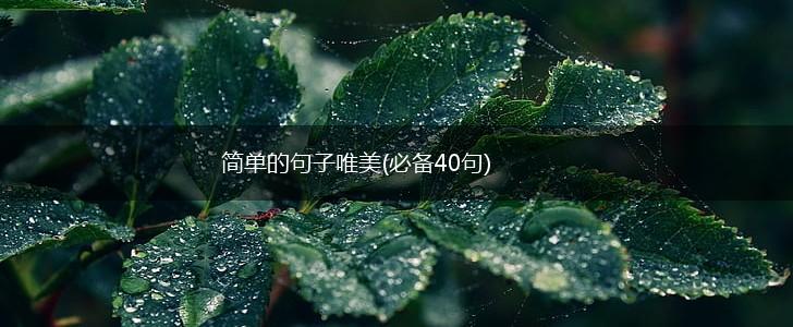 简单的句子唯美(必备40句),第1张
