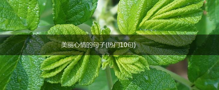 美丽心情的句子(热门10句),第1张