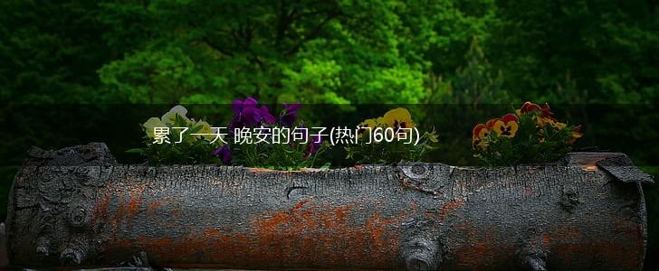 累了一天 晚安的句子(热门60句),第1张
