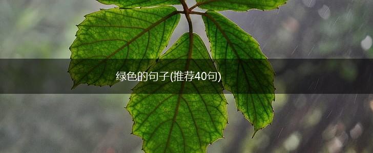 绿色的句子(推荐40句),第1张